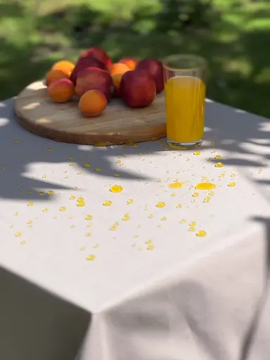 Водовідштовхувальна скатертина Капучино однотон 150х110 см - фото 7