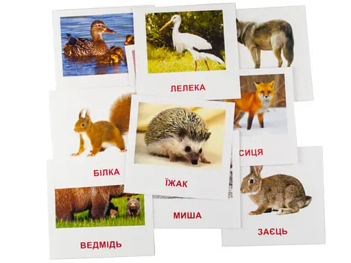 Картки міні "Лісові мешканці" (110х110 мм) UA-ENG 66425 - фото 2