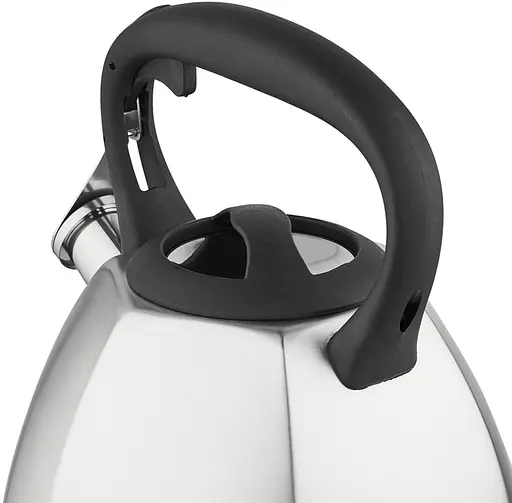 Чайник с свистком Florina 5C0223 Dakota 2.5 л - фото 4