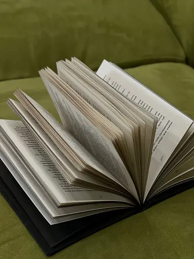 Розпусні загублені хлопці. Книга 4. Принци фейрі - фото 3