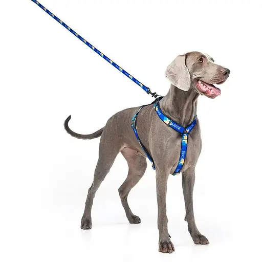 Повідець для собак Waudog Nylon нейлоновий малюнок "Прапор", розмір L-XXL - фото 6