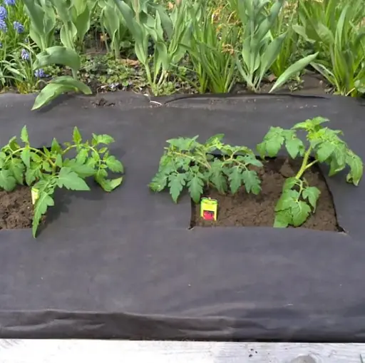 Агроволокно Shadow 50 г/м² 1.6 x 50 м АВЧР000031 - фото 2