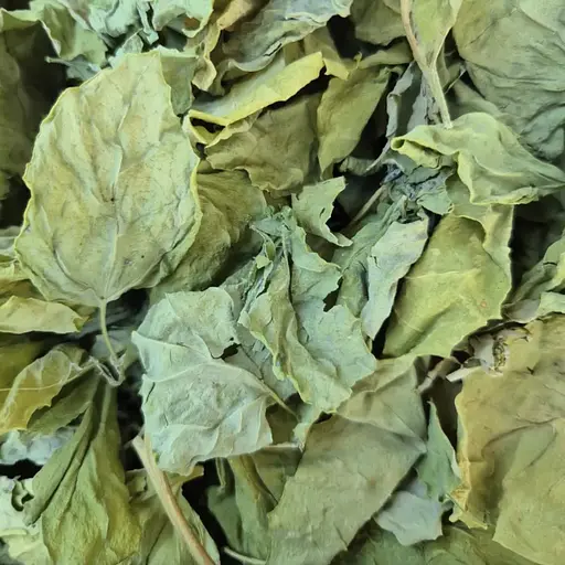 100 г лобода листья сушеные- свежий урожай