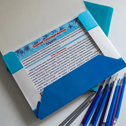 Дидактичний матеріал "Зимові спостереження" 13107147, 16 карток - фото 2