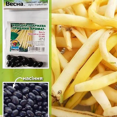 Квасоля спаржева "Грибний аромат" (Зипер) ТМ "Весна" 5г (23586) - фото 1