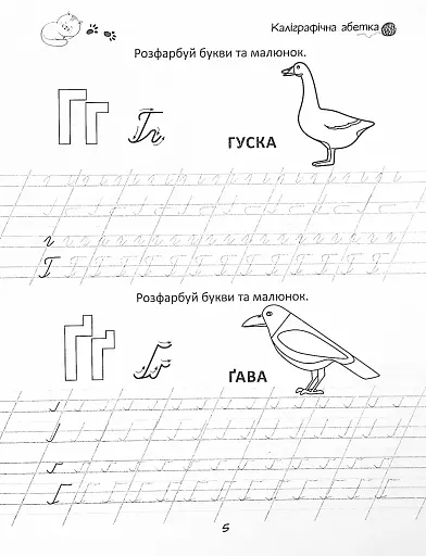 Прописи. Каліграфічна абетка 4+ - фото 5