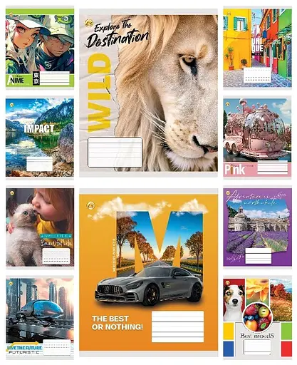 Зошити учнівські 24 аркуша клітинка Тверда ТЕ41305 Мікс 5, 20 шт. в упаковці