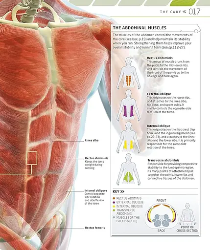 The Complete Running and Marathon Book - фото 3