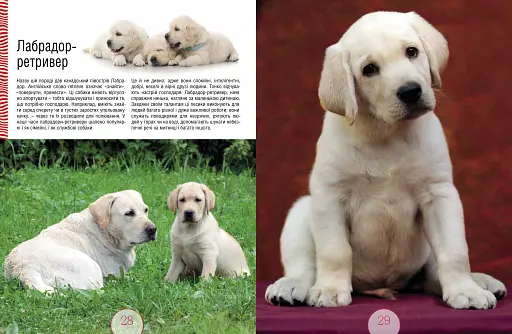 Малята звірята - фото 3