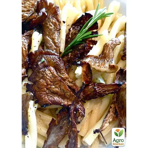 Сухий зерновий міцелій "Глива звичайна" 100г (45185) - фото 2