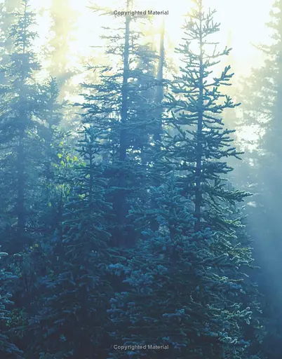 Oxford Reading Tree TreeTops inFact. Level 11: Natural History Mysteries - фото 3