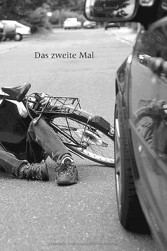 Der Taubenfutterer und andere Geschichten. Niveaustufe B1 Leseheft - фото 4