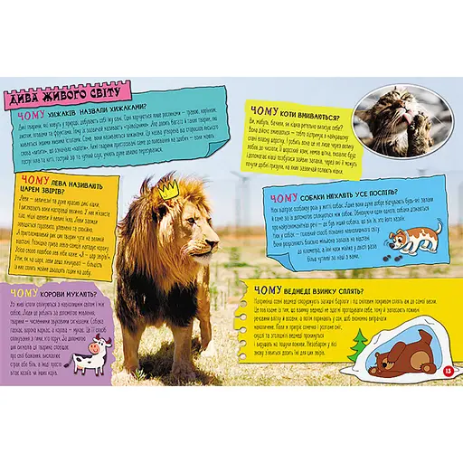 Энциклопедия в вопросах и ответах "100 ответов на вопрос ПОЧЕМУ?" 880003 - фото 2