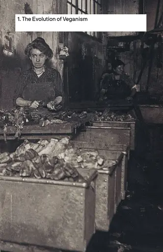 Should We All Be Vegan? A primer for the 21st century - фото 5