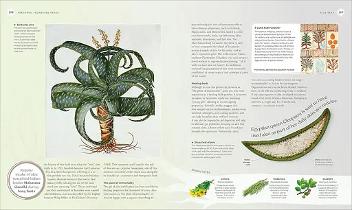 The Herb Book - фото 3