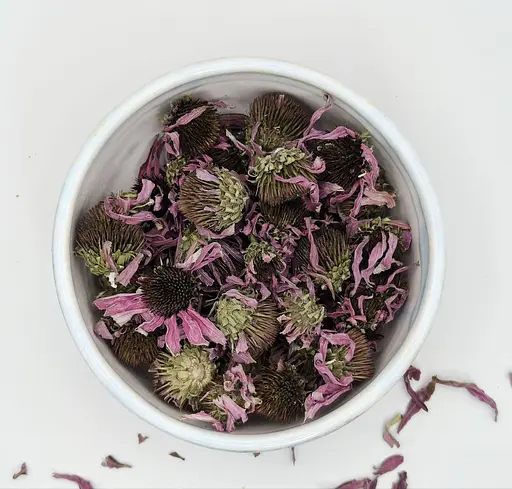 Ехінацея квіти сушені, 25 г - фото 5