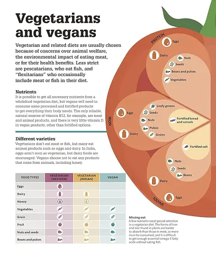 How Food Works: The Facts Visually Explained - фото 8