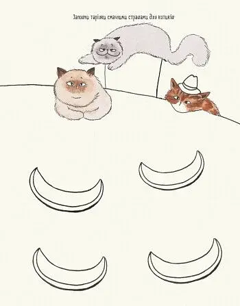 Котюрморт - фото 8