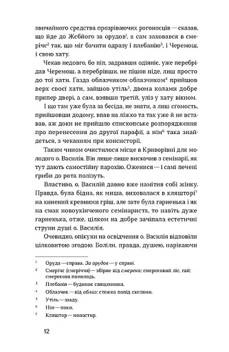 Камінна душа - фото 5