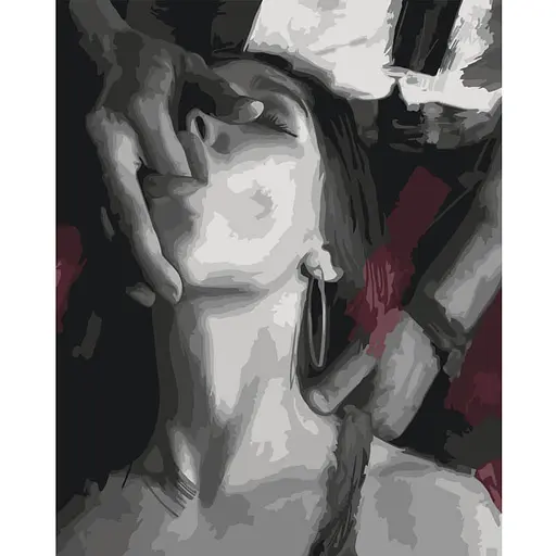 Картина по номерам "Вкус страсти" Art Craft 10478-AC 40х50 см - фото 1