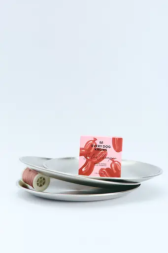 Твердий відновлюючий шампунь для собак, EVERY DOG KNOWS - фото 5