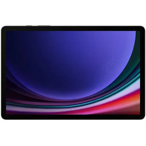 Планшет Samsung Galaxy Tab S9 5G 8/128GB Graphite (SM-X716BZAA) Global version - фото 7