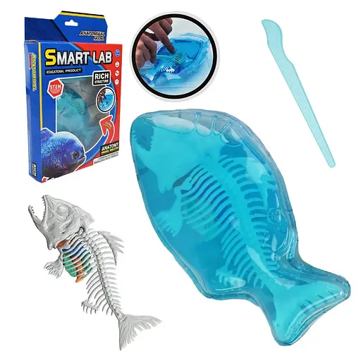 Дитячий лабораторнний набір "Піран’я" 802B, скелет, внутрішні органи