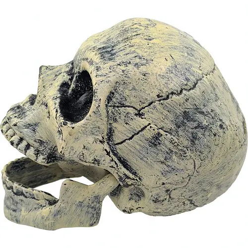 Декор череп с руками - фото 5