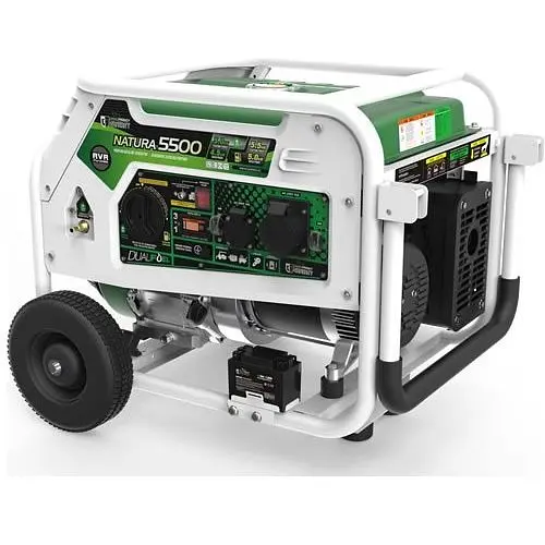 Генератор Genergy Natura 5000 (5 кВт) - фото 3