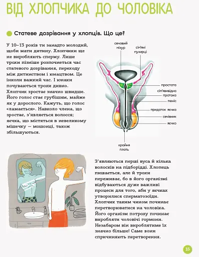 Енциклопедія статевого життя. 10-13 років - фото 7