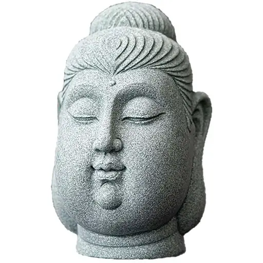 Самоусовершенствование DH-F006