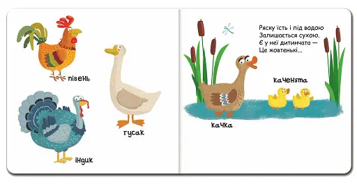 Сторінки-цікавинки. Тварини на фермі - фото 5