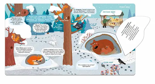 Сезонні зміни у лісі - фото 4