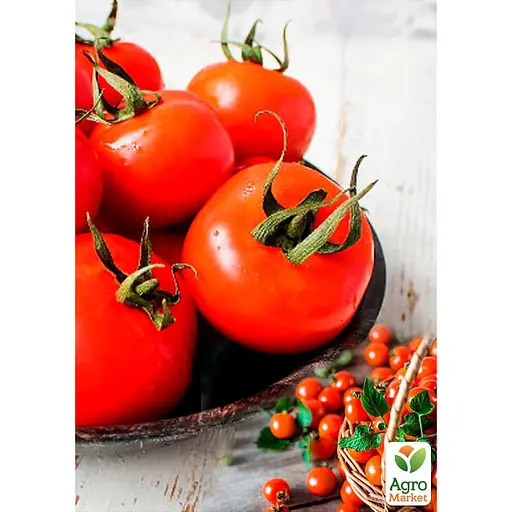 Томат червоний "Суміш кращих популярних сортів" ТМ "Весна"  3г (45519) - фото 2