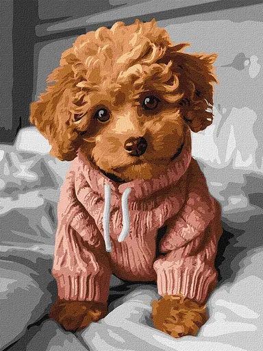 Набір для розпису по номерах Чарівний мальтіпу, 30x40 см, КНО6589