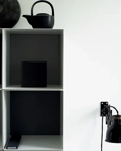 Монохромна оселя. Вишукані інтер’єри в чорному та білому - фото 5