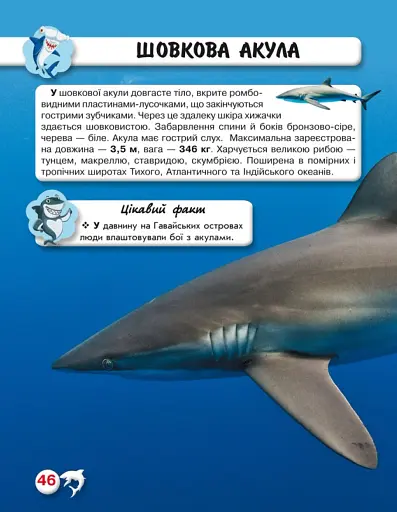 Світ навколо нас. Акули - фото 2