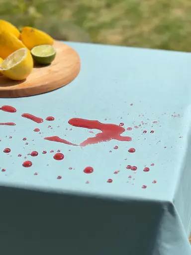 Водовідштовхувальна скатертина Тіффані однотон 340х140 см (+ 7 серветок 30х40) - фото 7