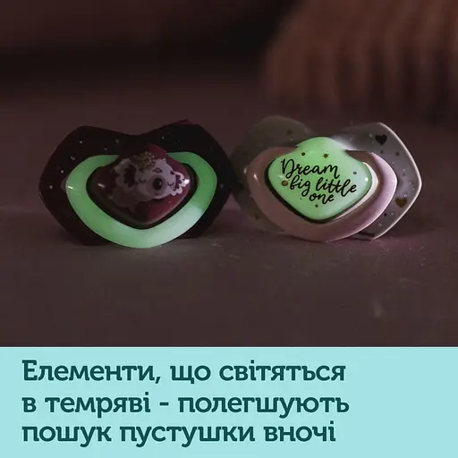 Пустушка Canpol babies Sleepy Koala силіконова симетрична 18+ міс. 2 шт. синя з сірим (22/660_blu) - фото 9