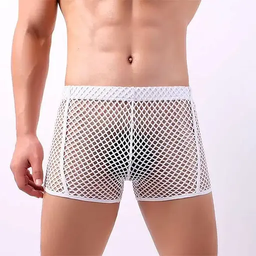 Труси чоловічі спокусливі боксери еластичні в сітку Clever Menmode L білі