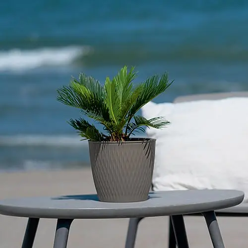 Вазон круглый LIBERTY, 25 см, 8,5 л (87251) - фото 2