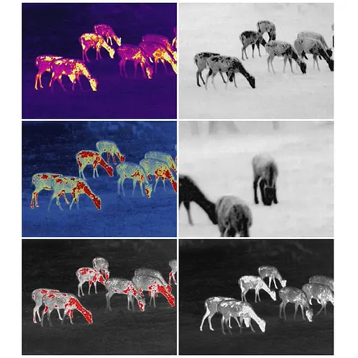 Тепловизор монокуляр Guide TrackIR 50mm 400x300px - фото 9