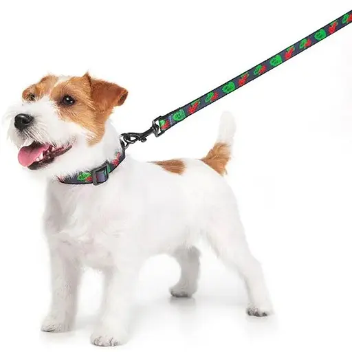 Повідець для собак Waudog Nylon нейлоновий, малюнок "Калина", розмір S - фото 5