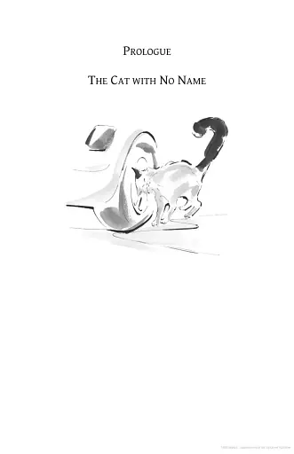 The Travelling Cat Chronicles - фото 2