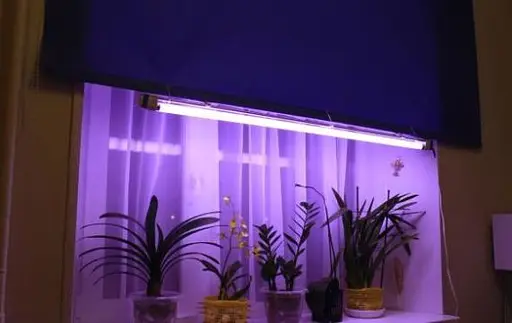 Лампа Osram App 15W E14, 230-240V T25 CL OV 300С 230 В - фото 4