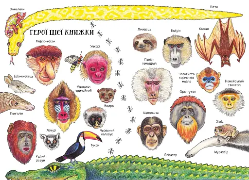 Носата красуня/ М. Пасіка - фото 7