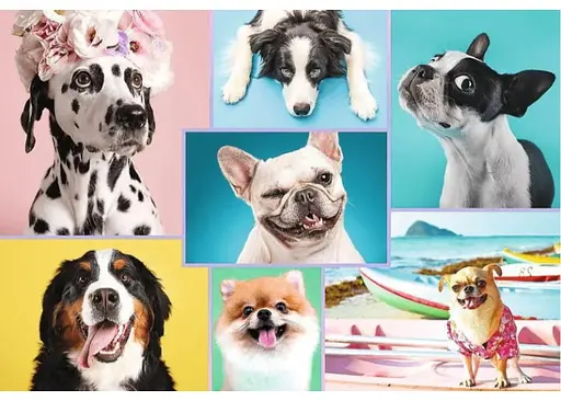 Пазл Trefl Милые собачки коллаж 1500 эл. (26186) - фото 2