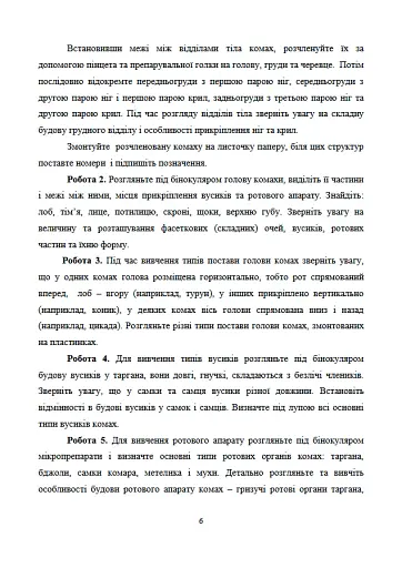 Лісова ентомологія - фото 6