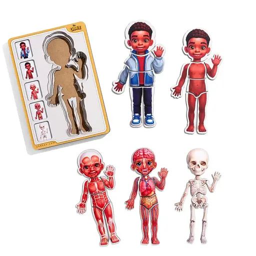 Деревяний пазл-вкладиш Анатомія людини - хлопчик-3 (ПСД262) PSD262 будова тіла - фото 2