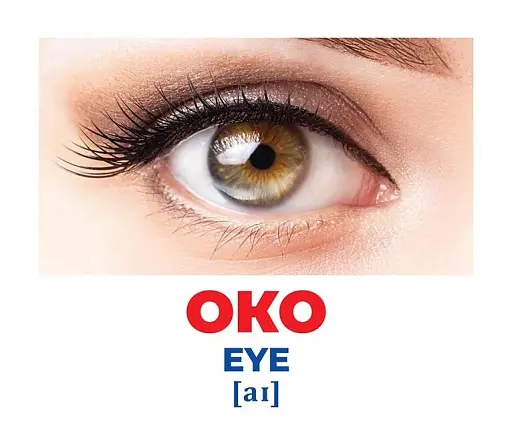 Будова тіла. Геній з пелюшок - фото 2